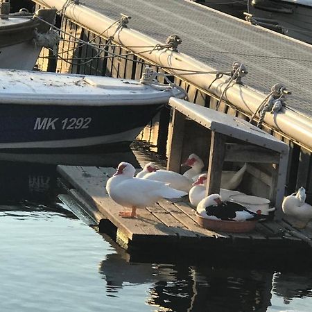 Apartment Aquamarin, Blizu Mora S Pogledom Na More, Za Do 6 Osoba Malinska Esterno foto